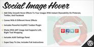 Social Image Hover for WordPress Preview - CodeCanyon