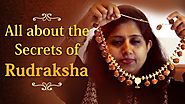 Get The Complete Details About The Secrets of Rudraksha Beads