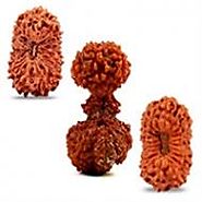 Buy Genuine Rudraksha, Beads & Malas Online at Best Prices