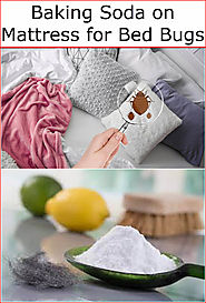 Baking Soda on Mattress for Bed Bugs | Baking Soda Uses and DIY Home Remedies.