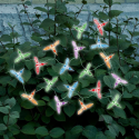 Solar Color Changing Hummingbird 20 Light Set--Outdoor Living-Outdoor Lighting-Decorative Lighting