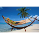 Wood Curved Arc Stand Hammock Chair Swing- ShipsinaDay-Outdoor Living-Patio Furniture-Hammocks & Accessories
