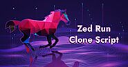 Zed Run Clone Script | Launch NFT Horse Racing Platform Like Zed Run