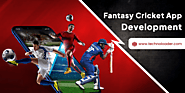 Cost to Develop Fantasy Cricket App Like Dream11 - Technoloader