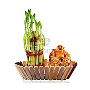 Laugh and Luck Together