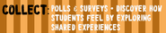 Polls & Surveys - Discover How Students Feel by Exploring Shared Experiences