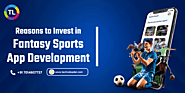 Top 5 Reasons You Should Invest in Fantasy Sports App Development in 2024