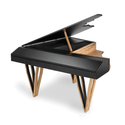 Piano Flügel mit integriertem E-Piano