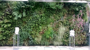 Best Outdoor Living Wall Panel and Planting Grid Reviews for 2014