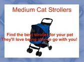Find Medium Cat Strollers for you Furry Friend