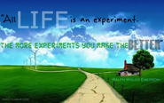 Life is an experiment. The more experiments you make the better