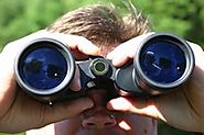 Best Compact Binoculars For Bird Watching Reviews