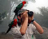 Best Compact Binoculars For Bird Watching - Ratings and Reviews. Powered by RebelMouse