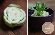 How To: Regrowing Bok Choy | 17 Apart: How To: Regrowing Bok Choy
