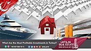 What Are the Most Profitable Investments in Turkey?