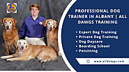 Professional Dog Trainer In Albany | All Dawgs Training | Visual.ly