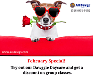 Special Offers on Dawggie Daycare | edocr