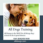 Albany Dog Trainer Program