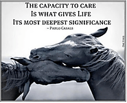 One Option Means No Choice: The Walking Wombs