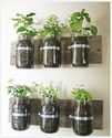 Grow Herbs Indoors This Winter