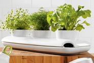 Kitchen Herb Gardens: Best Indoor Herb Growing Kits