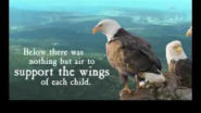 Gr8 Motivational Clip - Even Eagles needs a Push. - YouTube