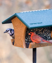 Bird Feeders, Wild Bird Feeders, & Bird Feeding Supplies | Products | Wild Birds Unlimited