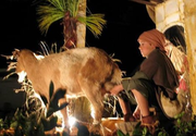 Cabalgata de Reyes Magos de Higuera de la Sierra