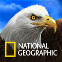 National Geographic Birds: Field Guide to North America