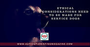 Ethical Considerations Need to Be Made for Service Dogs - Autism Parenting Magazine