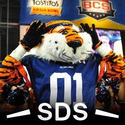 Auburn Football SDS (@AU)