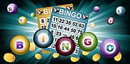 Bingo Apps Present and Future