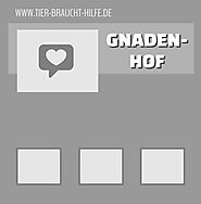 06905 Bad Schmiedeberg