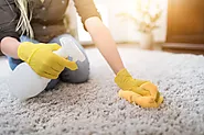 Expert Cleaning Tips For Molds Removal