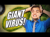 Giant Virus Discovered, Could Change Everything We Know