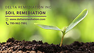 Soil Remediation Techniques