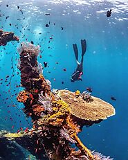 What Set Tulamben Apart from Other Bali Diving Sites | Pcattendancesystem