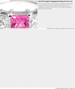 Best Pink Sapphire Engagement Rings With A Princess Cut
