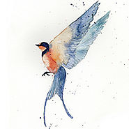 Swallow Watercolour Illustration - Polly Playford