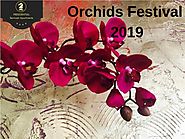 Orchids Festival 2019 at Kew Gardens in London