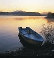 Motivational and Inspirational Quotes