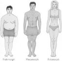 Understanding your body type is the first step towards fitness improvement