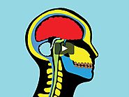 Procrastination on Vimeo