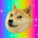 Wow! Such Doge Game!