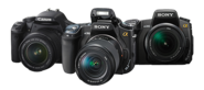 Entry-Level DSLR Cameras Review