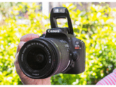 Best entry-level digital SLR cameras