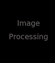 Faballey Indya apparel online at a low price.