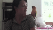 dance with parrot