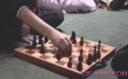 Hamster Steals Chess Piece Off of a Chess Board | Funny Animal Images- Gif-King.com