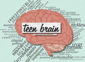 Every Parent Should Watch This Video. The Science Behind Teenage Brain